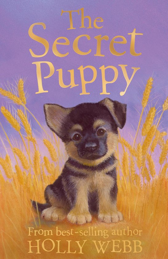 Holly Webb Animal Stories - The Secret Puppy - cover