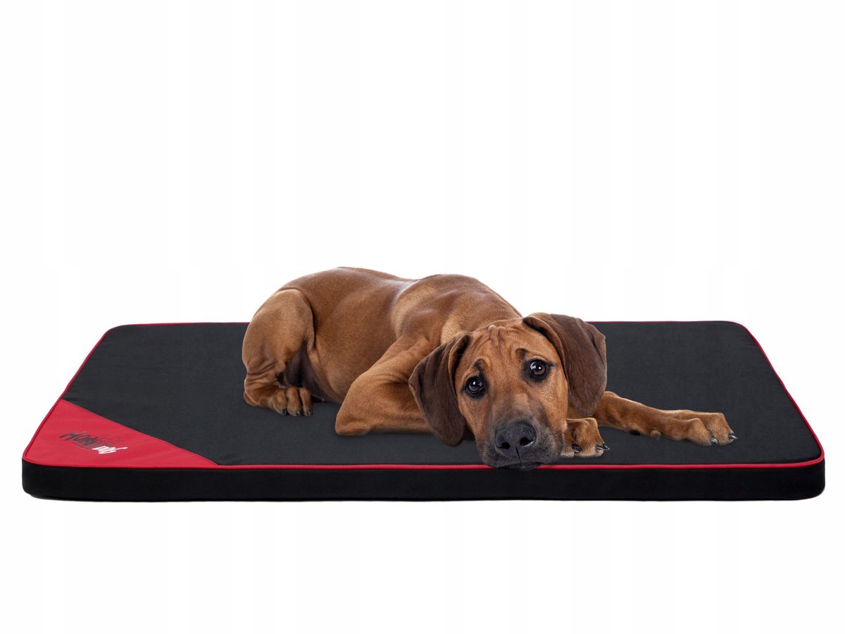 Hobbydog Licht Hondenkussen XL 120x80cm - Comfortabel en wasbaar