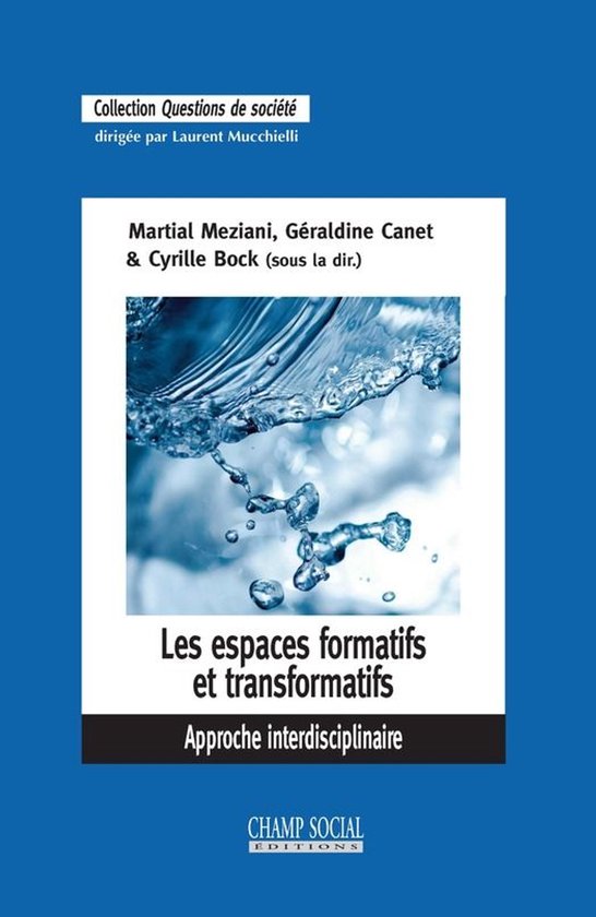 Les espaces formatifs et transformatifs. Approche interdisci ... - cover