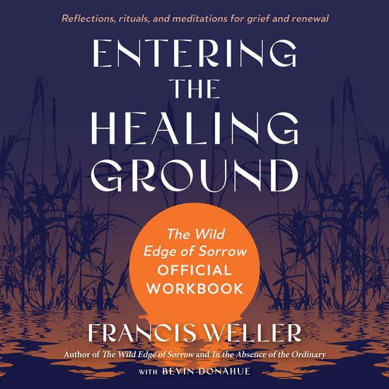 Entering the Healing Ground - cover