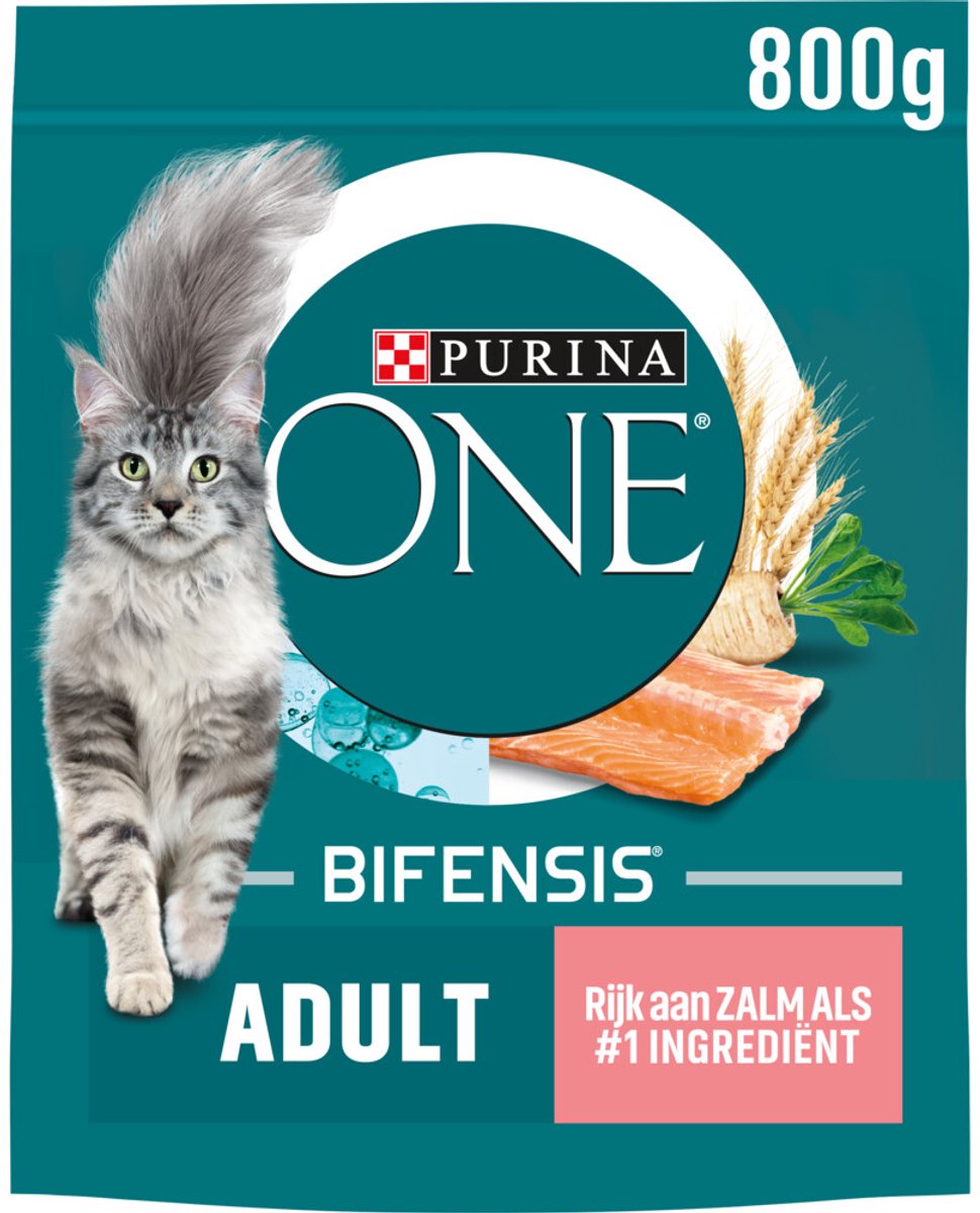 Purina ONE Kattenvoer Droog Adult Zalm - Volkoren Granen 800 gr