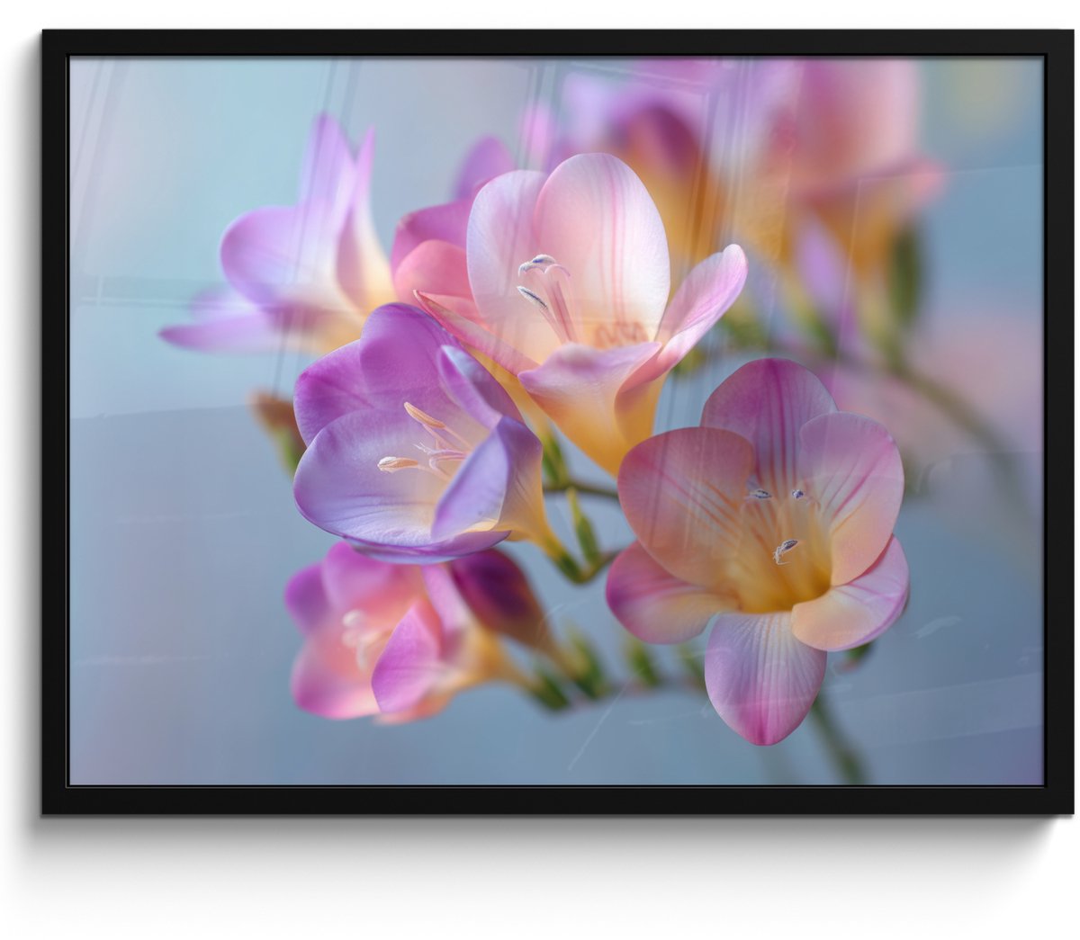 FrameYourWall Poster in lijst - Fotolijst 80x60 cm - Posters - Bloemen - Paars - Overloop - Meeldraden - Posterlijst zwart - Decoratie - Wanddecoratie woonkamer - Muurdecoratie slaapkamer Bloemen - Overloop