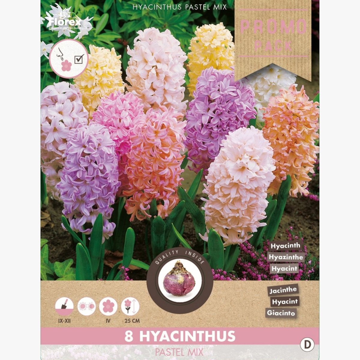 Hyacint (Hyacinthus) - en Pastel Mix - hus - Snijbloemen - Geurend - Voorjaarsbollen - bloeit in Maart / April