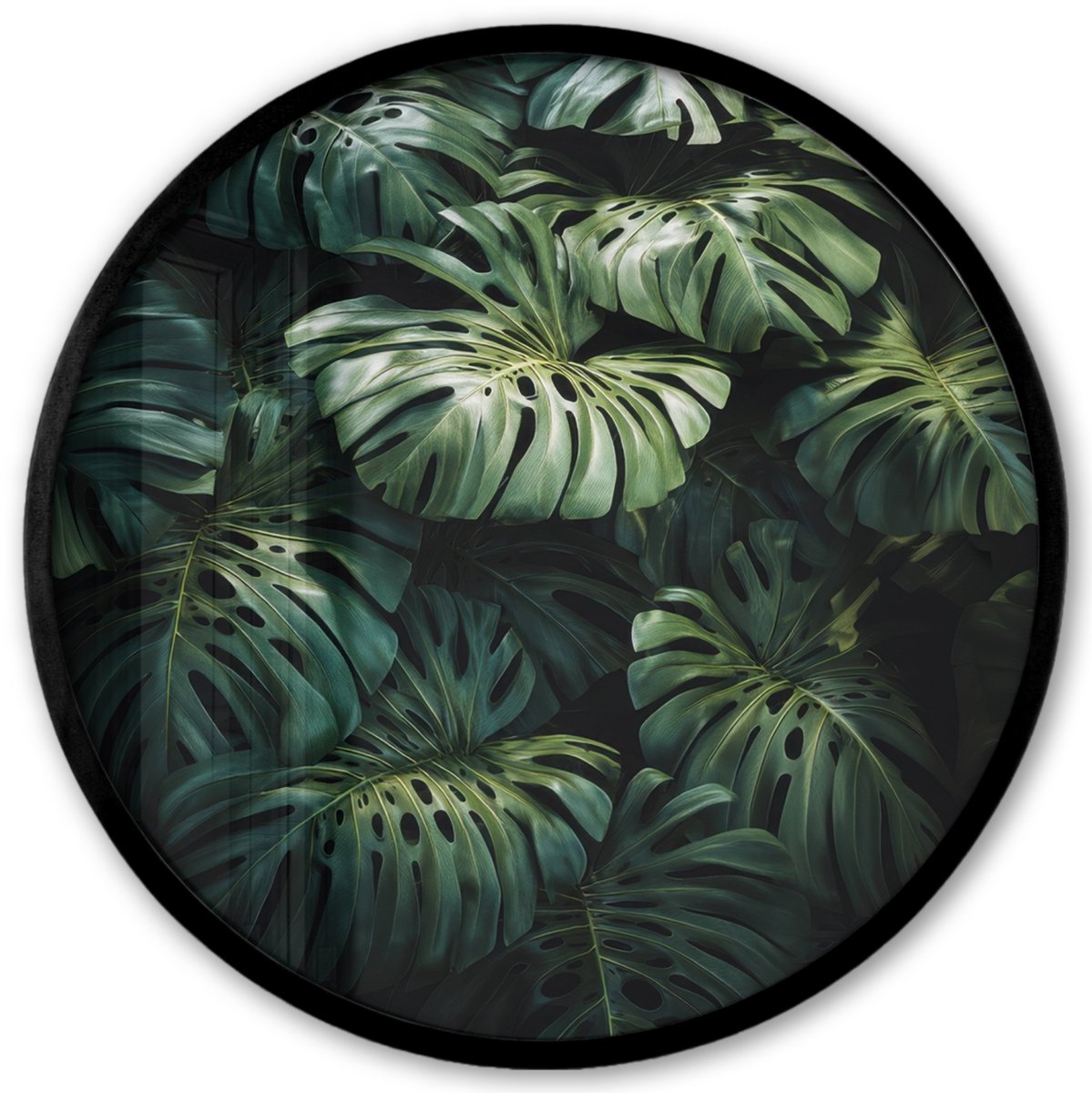 FrameYourWall Poster in lijst Rond - Fotolijst 40x40 cm - Posters - Plant - Monstera - Lichtinval - Ronde posterlijst zwart - Decoratie - Wanddecoratie woonkamer - Muurdecoratie slaapkamer Bladeren - Glad
