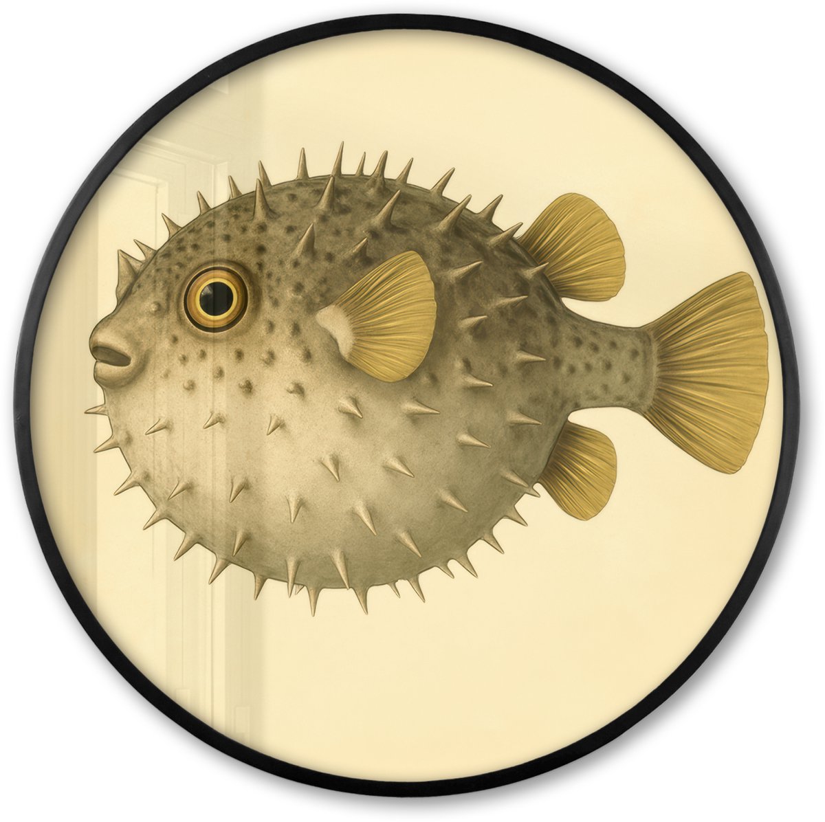 FrameYourWall Poster in lijst Rond - Fotolijst 80x80 cm - Posters - Stekels - Vis - Opgeblazen - Bruin - Ronde posterlijst zwart - Decoratie - Wanddecoratie woonkamer - Muurdecoratie slaapkamer