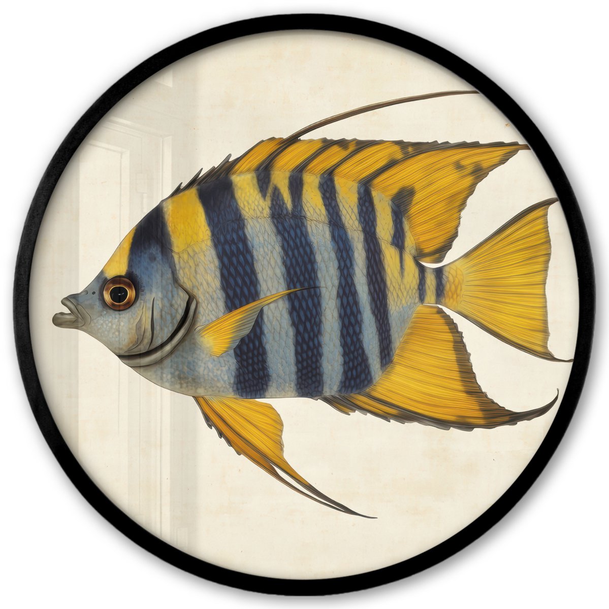 FrameYourWall Poster in lijst Rond - Fotolijst 40x40 cm - Posters - Vis - Sierlijk - Vinnen - Illustratie - Ronde posterlijst zwart - Decoratie - Wanddecoratie woonkamer - Muurdecoratie slaapkamer