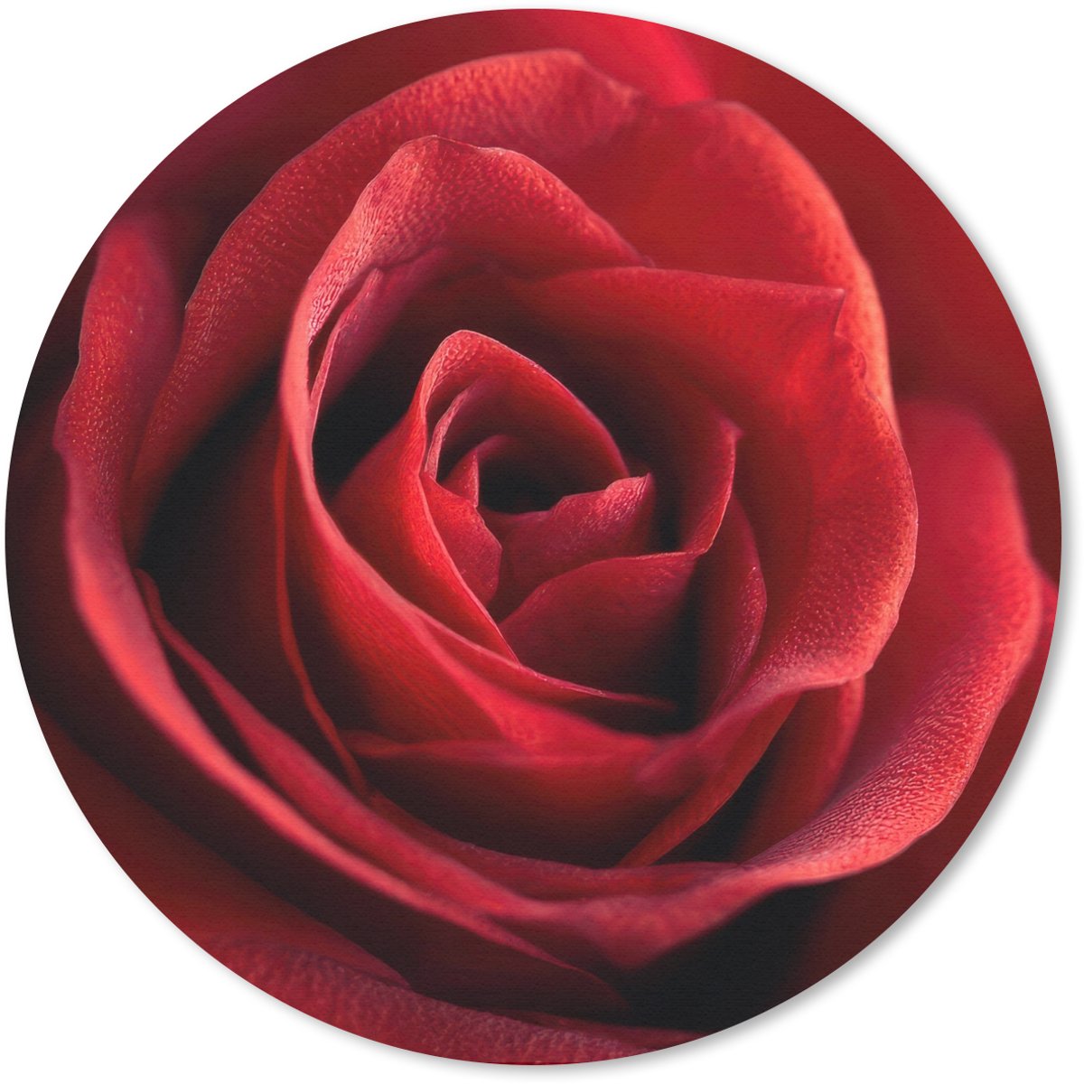 Muismat rond 20x20 cm - Mousepad Rood - Roos - Romantisch - Ronde muismatten