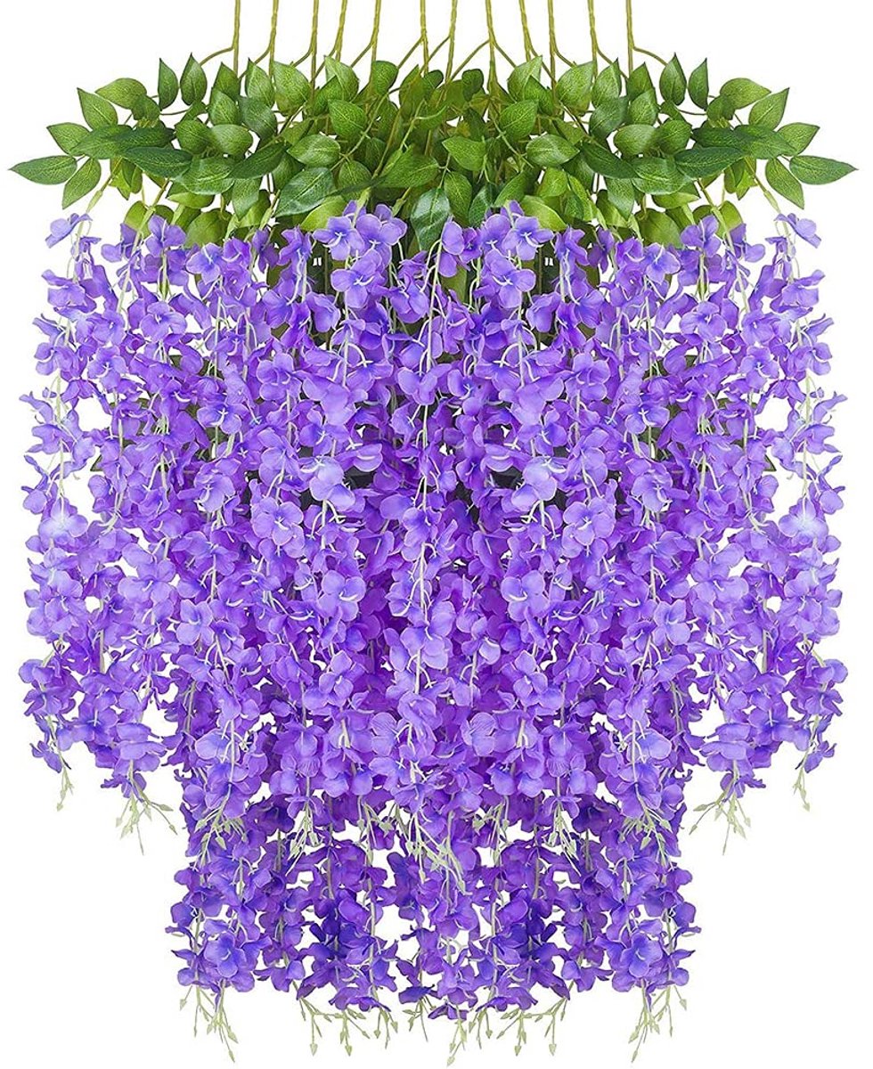 Wisteria floribunda 'Domino'- Blauwe regen | Bloemenpark