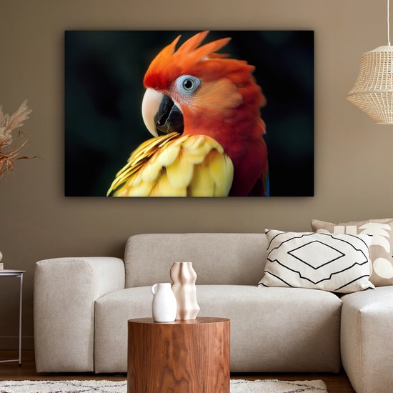 Tableau sur toile 120x80 cm - Décoration murale exclusive Gros plan - Perroquet - Plumes - Oranje - Décoration murale salon - Décoration chambre à coucher - Accessoires de chambre - Tableaux sur toile