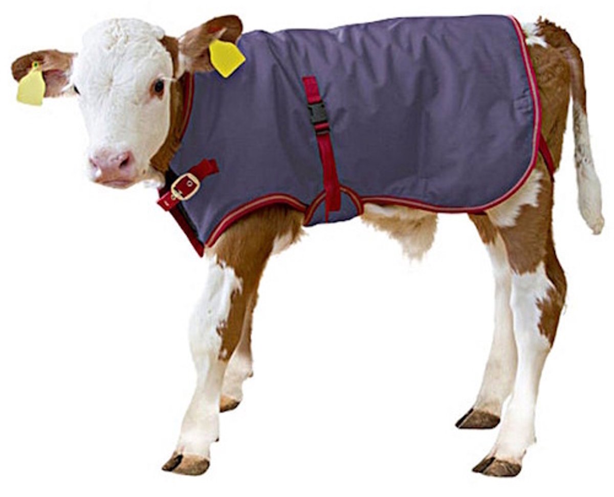Kerbl Kalverdek ThermoPlus 70CM