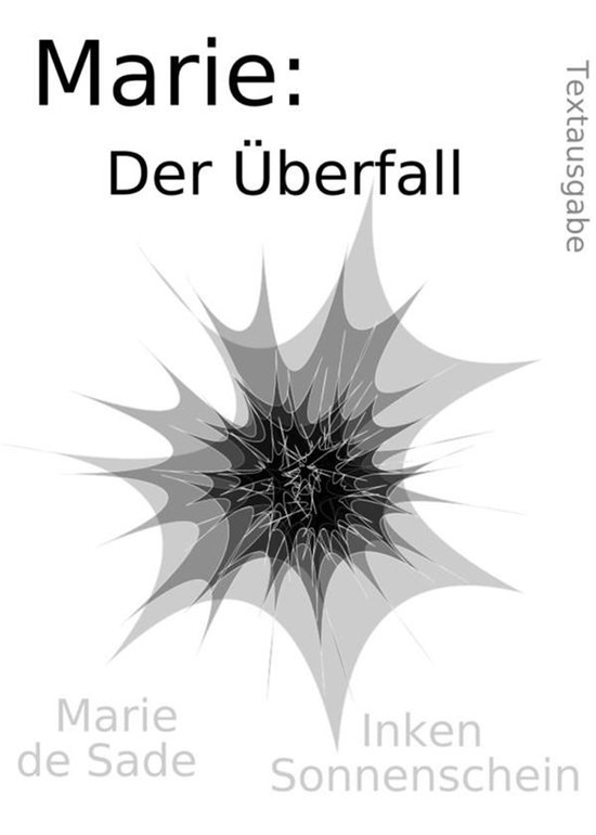 Marie 4 - Marie: Der Überfall - cover