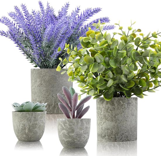 Woltoy 2-delige set kunstplanten voor binnen, bloempot van cement, vetplanten van kunststof