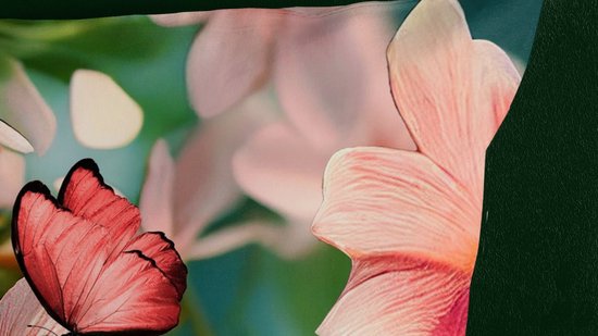 Pure Housse de couette "fleurs" - Multi - (140x200/220 cm) - Microfibre