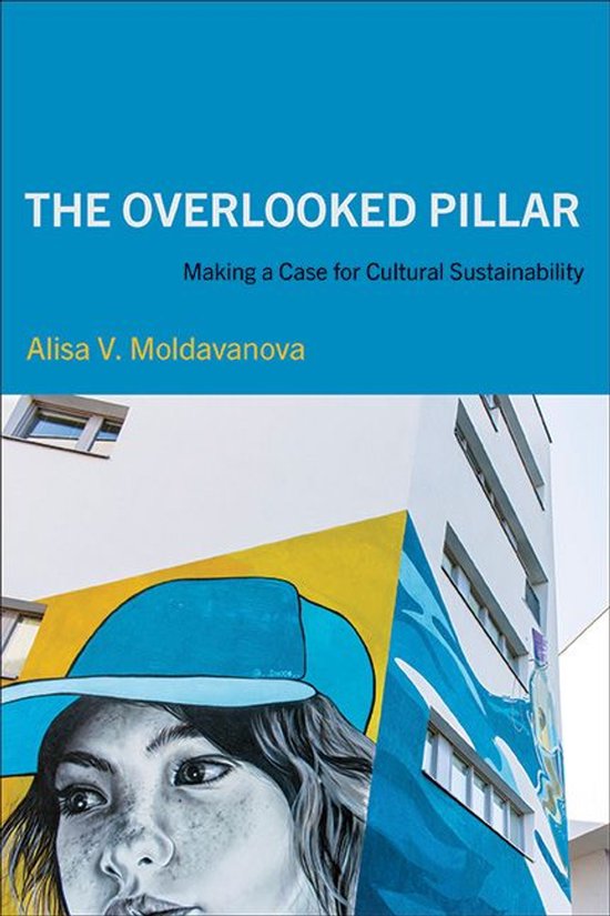 The Overlooked Pillar - cover