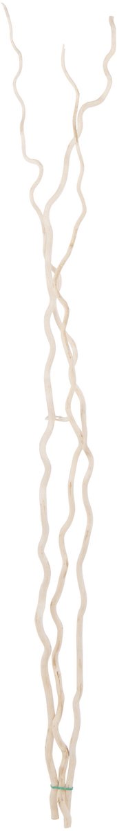 J-Line droogbloem - riet - wit - large - 3 stuks