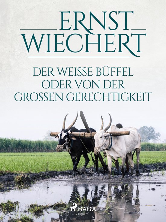 Der weiße Büffel, oder Von der großen Gerechtigkeit - cover