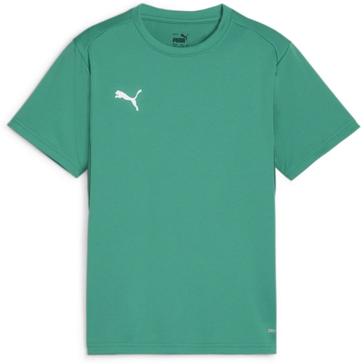 Puma Kinder Shirt TeamGoal Jersey Jr 658637 Sport -Puma -Power -140 Groen