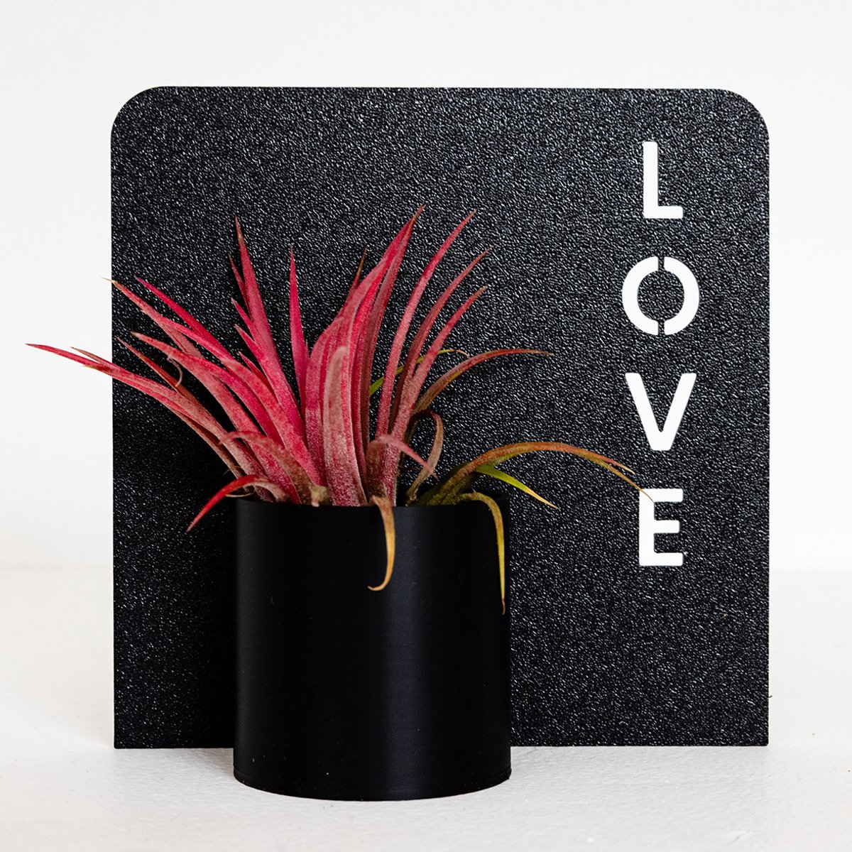 Mini Bloempotje met Tekstplaatje (12×12 cm) – LOVE – Duurzaam Cadeau voor Airplantjes, Vetplantjes & Cactussen - 3D-geprint
