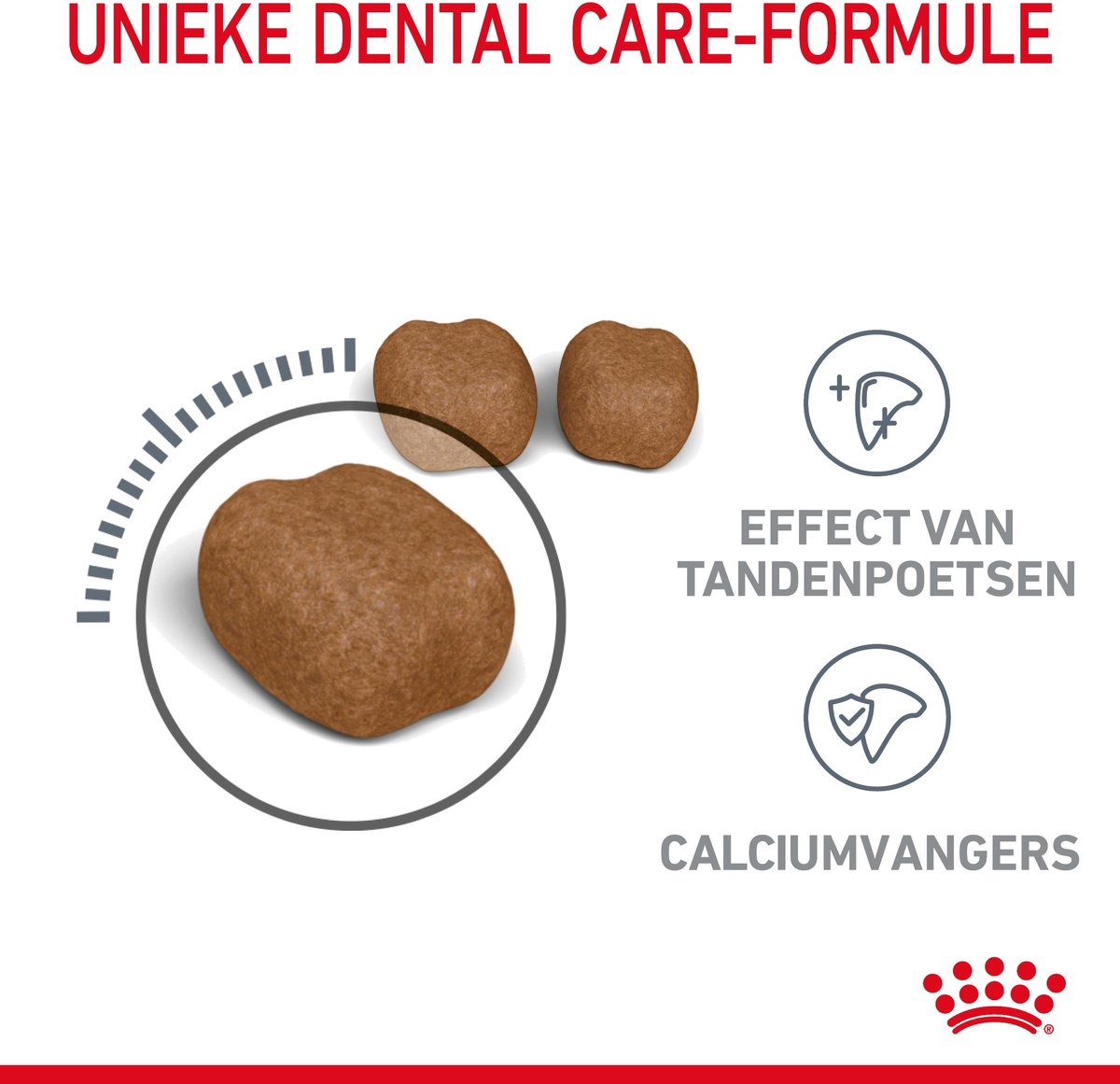 Royal Canin Dental Care - Kattenvoer - 8 kg thumbnail 3