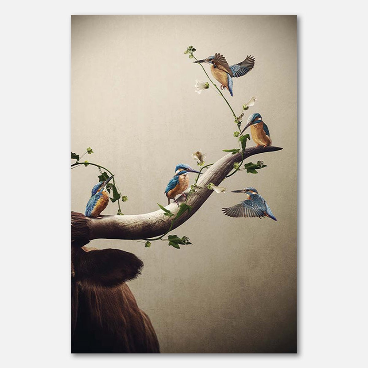 Poster op Papier - 40 x 60 cm - IJsvogels op hoorn hooglander met bloemen - PosterJunkie