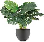 HTT - Kunstplant Monstera in Eggy antraciet H60 cm