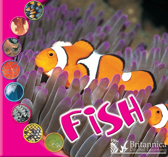What Is an Animal? - Fish - cover