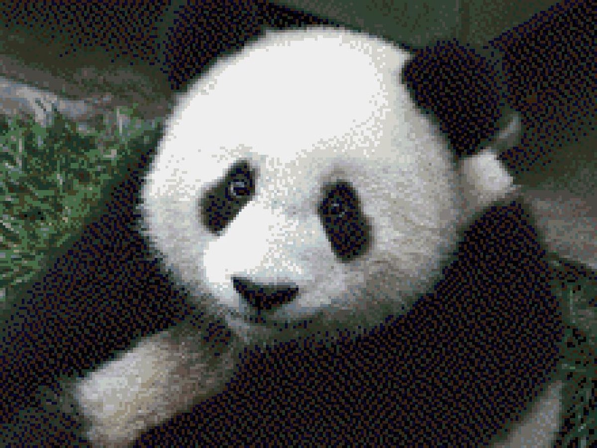 Afbeelding van product MyHobby Borduurpakket – Panda 40×30 cm - Aida stof 5,5 kruisjes/cm (14 count)