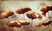 Schilderij - Klaprozen veld, Beige Bruin , 3 maten , print op canvas , Wanddecoratie