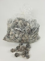 Noten, Fruit En Dennenappels - Pinus Silvesters 3-5 Cm White Washed Poly/5 Kg