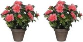 2x Groene Azalea kunstplanten perzikkleurige bloemen 27 cm in pot stan grey - Kunstplanten/nepplanten