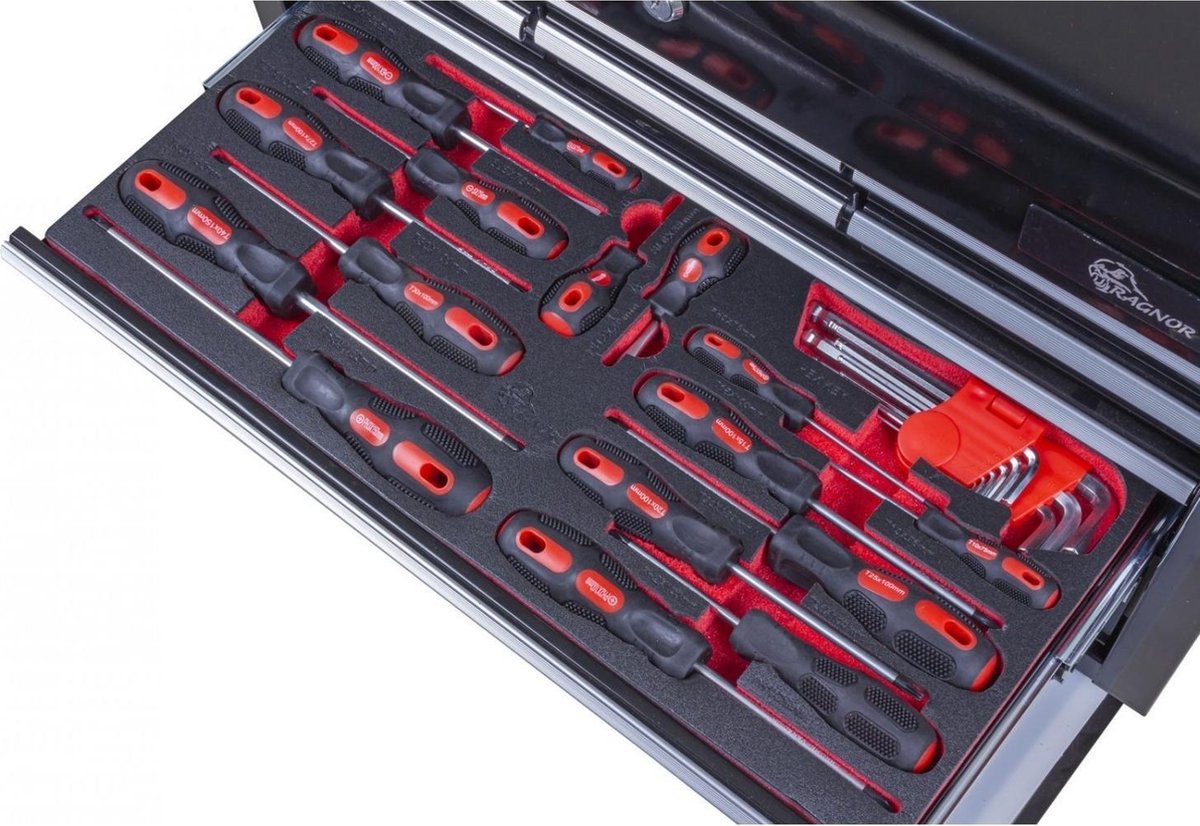 Schroevendraaierset + Inbussleutels 25-delig – SL, PH & Torx | Inbussleutels 1.5–10 mm – Softmodule 52×40×3 cm – Overzichtelijk & Duurzaam