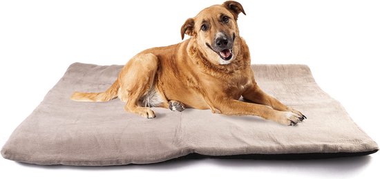 vitazoo Hondendeken, grijs, geïsoleerd en licht gevoerd, ook voor katten, ideaal om mee te nemen en te vervoeren, antislip onderkant, 70 cm x 100 cm. 100x70 cm, grau