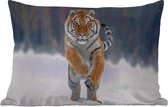 Buitenkussens - Tijger - Landschap - Sneeuw - Winter - Dieren - 60x40 cm - Weerbestendig