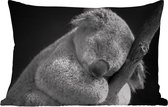 Buitenkussens - Slapende koala op zwarte achtergrond in zwart-wit - 60x40 cm - Weerbestendig