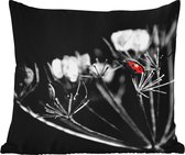Buitenkussen Weerbestendig - Zwart-wit foto van een rode lieveheersbeestje op een plant - 50x50 cm