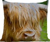 Sierkussen Buiten - Schotse hooglander - Gras - Vacht - Dieren - Koe - 60x60 cm - Weerbestendig