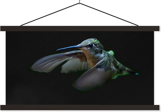 Porte-affiche avec affiche - Affiche scolaire - Colibri - Vogel - Ressorts - Zwart - 150x75 cm - Lattes noires