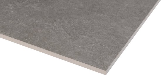 Saqu Stone vloertegel gerectificeerd 60x60cm ash - Saqu