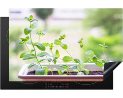 KitchenYeah® Inductie beschermer 81.2x52 cm - Verse pepermunt op de vensterbank in een bloempot - Kookplaataccessoires - Afdekplaat voor kookplaat - Inductiebeschermer - Inductiemat - Inductieplaat mat