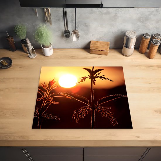 Een snijplank met een brandnetel in silhouet tegen een oranje zonsondergang, op een houten aanrecht.