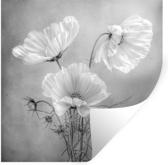 Stickers Stickers muraux - Fleurs - Nature morte - Aquarelle - 30x30 cm - Feuille adhésive