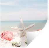 Stickers Stickers muraux - Coquillages - Étoile de mer - Plage - 80x80 cm - Film adhésif