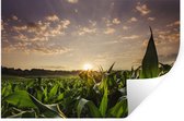Sticker Muursticker Champs de maïs - Champ de maïs au coucher du soleil - 120x80 cm - Film adhésif autocollant - Sticker mural repositionnable