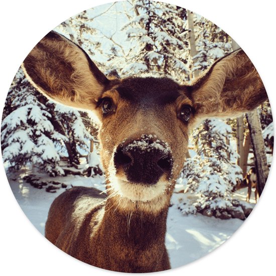 Label2X Wall cercle cerf dans la neige - Ø 60 cm - Dibond (intérieur & extérieur) - Recommandé
