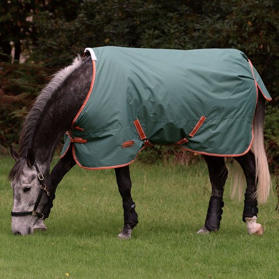 Outdoor paardendeken Weatherbeeta Comfitec Plus Dynamic II 0g