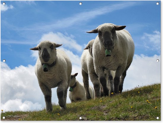 Tuinposter - Tuindoek - Tuinposters buiten - Schapen - Berg - Alpen - 120x90 cm - Tuin