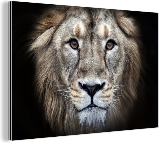 Wanddecoratie Metaal - Aluminium Schilderij Industrieel - Leeuw - Portret - Wild - 120x80 cm - Dibond - Foto op aluminium - Industriële muurdecoratie - Voor de woonkamer/slaapkamer