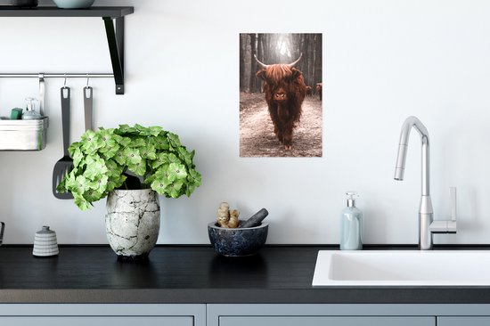 Affiche Scottish Highlander - Animal - Gros plan - 20x30 cm