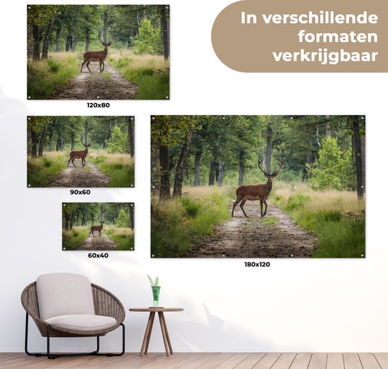 Affiche de jardin Forêt - Cerf - Arbres - 120x80 cm - Jardin