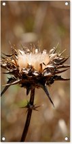 Tuinposter Gedroogde distel sepia fotoprint - 40x80 cm - Wanddecoratie Buiten - Tuinposter - Tuindoek - Schuttingposter - Tuinschilderij